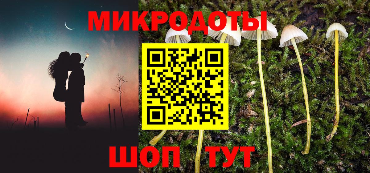Галлюциногенные грибы прущие грибы  Вход с VPN  Сосновый Бор 